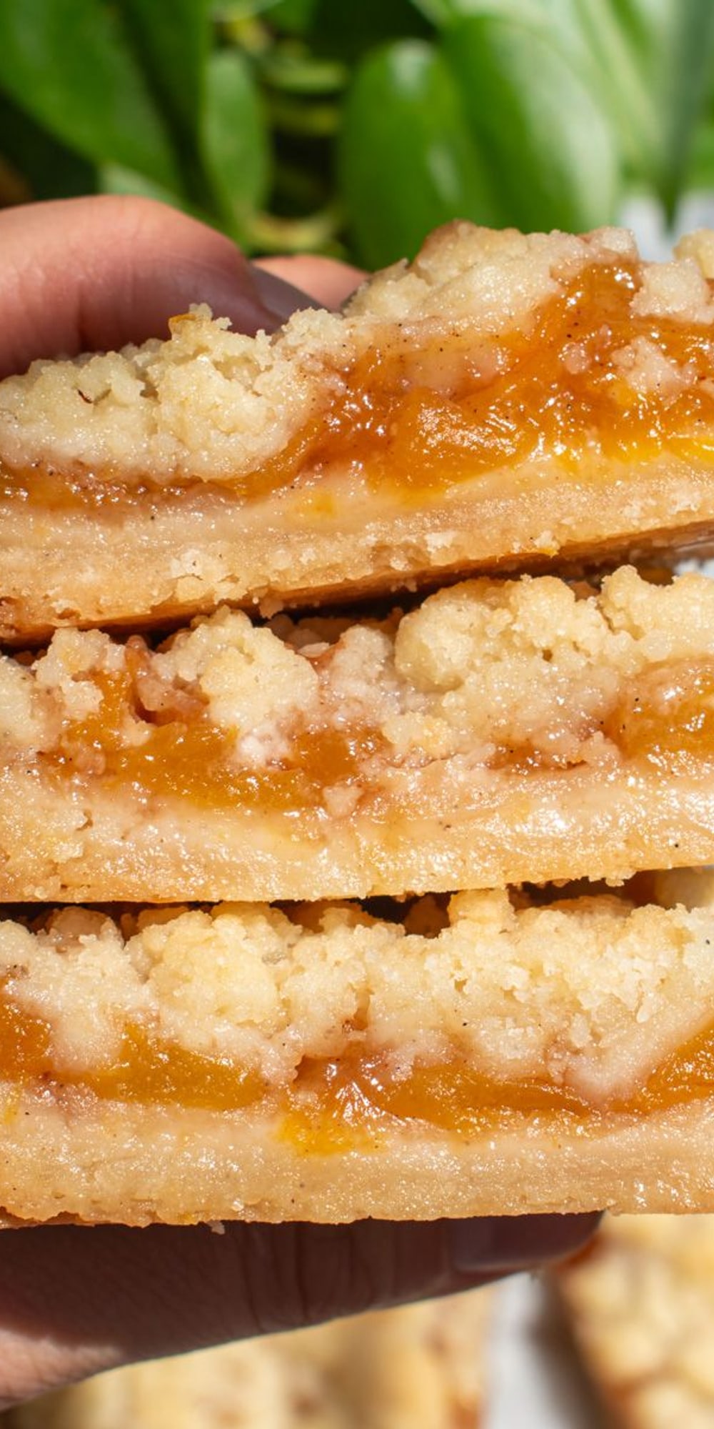 Easy Peach Crumb Bars